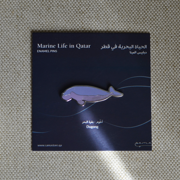 Marine Life in Qatar